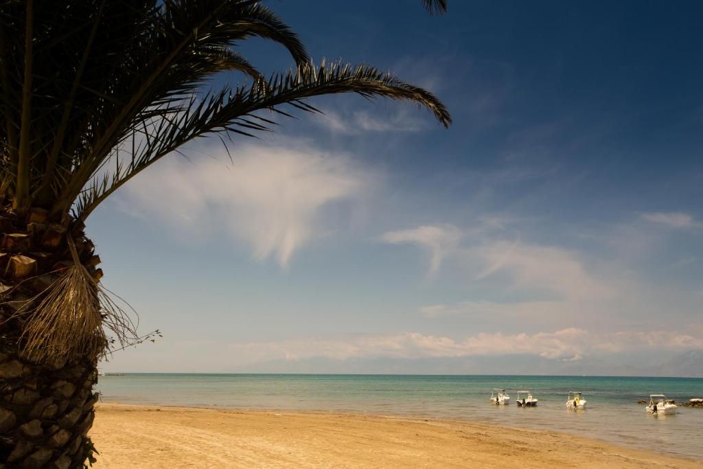 Ein Strand mit einer Palme, blauem Himmel und Booten im Wasser.