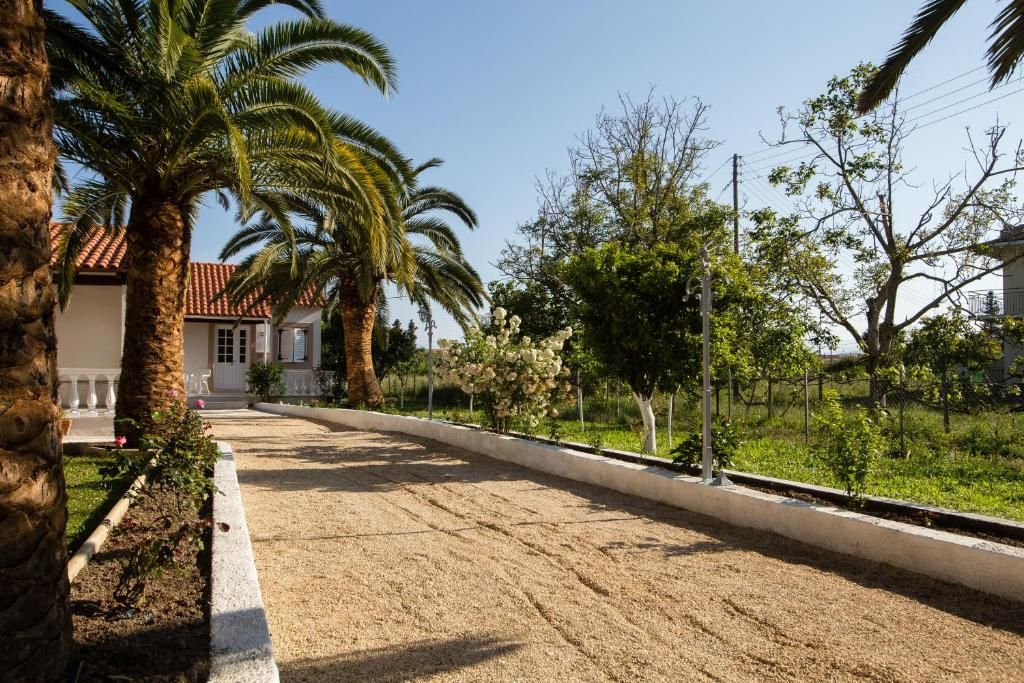 Een woonstraat met palmbomen, een huis met een rode dakbedekking en een voetpad.