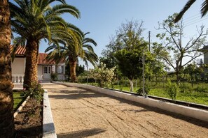 A residential street with palm trees, a house with a red-tiled roof, and a sidewalk.
