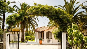 A gated entrance to a building with a tiled roof, surrounded by lush greenery and palm trees.