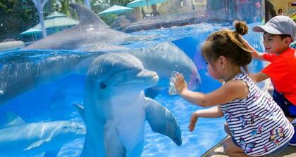 Cozy Vacation Condo next to Disney Universal