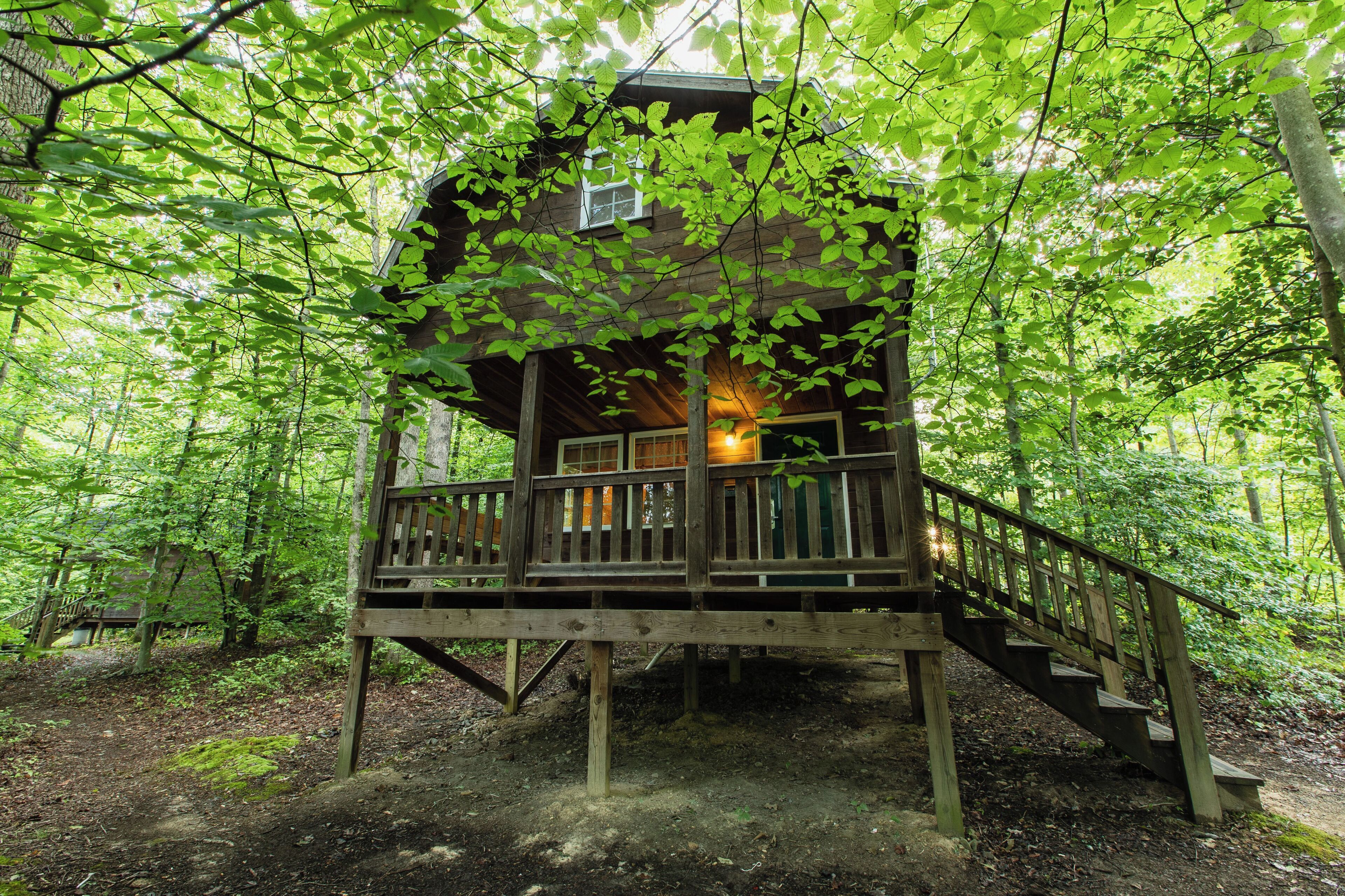 Loft Style Sportsman Cabin 6 Beds | Free WiFi, bed sheets