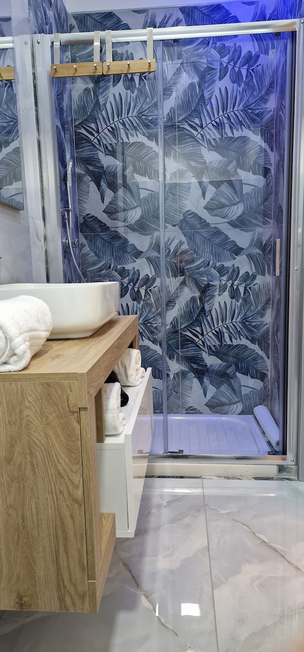 Shower, hair dryer, bidet, towels