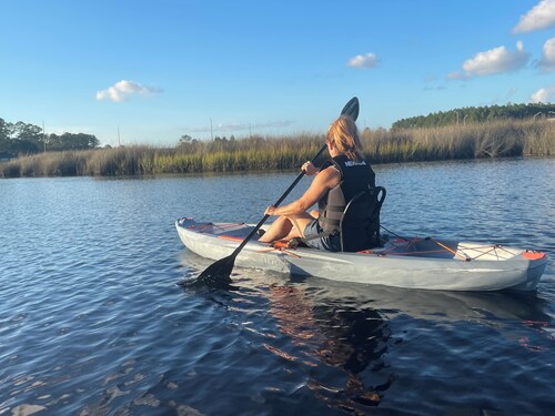 Cabin Fever Homestead