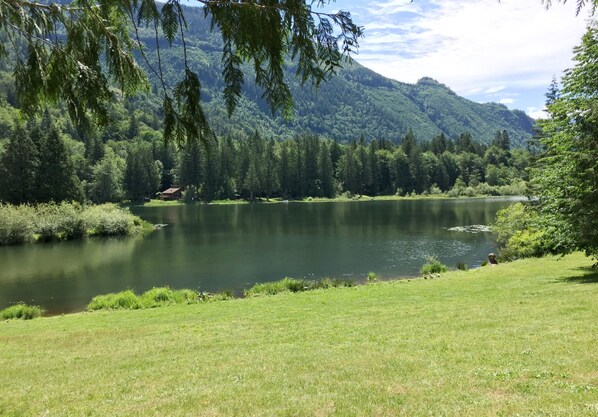 A serene lakeside view with a house in the distance, surrounded by dense forest and hills. - Amazing Falls Cabin - The Refuge at Kulshan (Deming)
