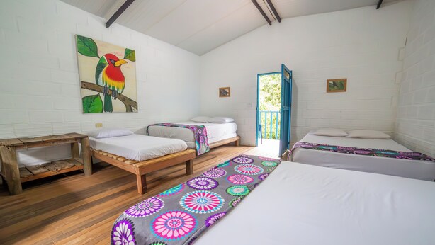 A room with two single beds, a wooden bench, a colorful rug, and a painting of a bird on the wall. - La Posada De Las Aves (San Rafael)