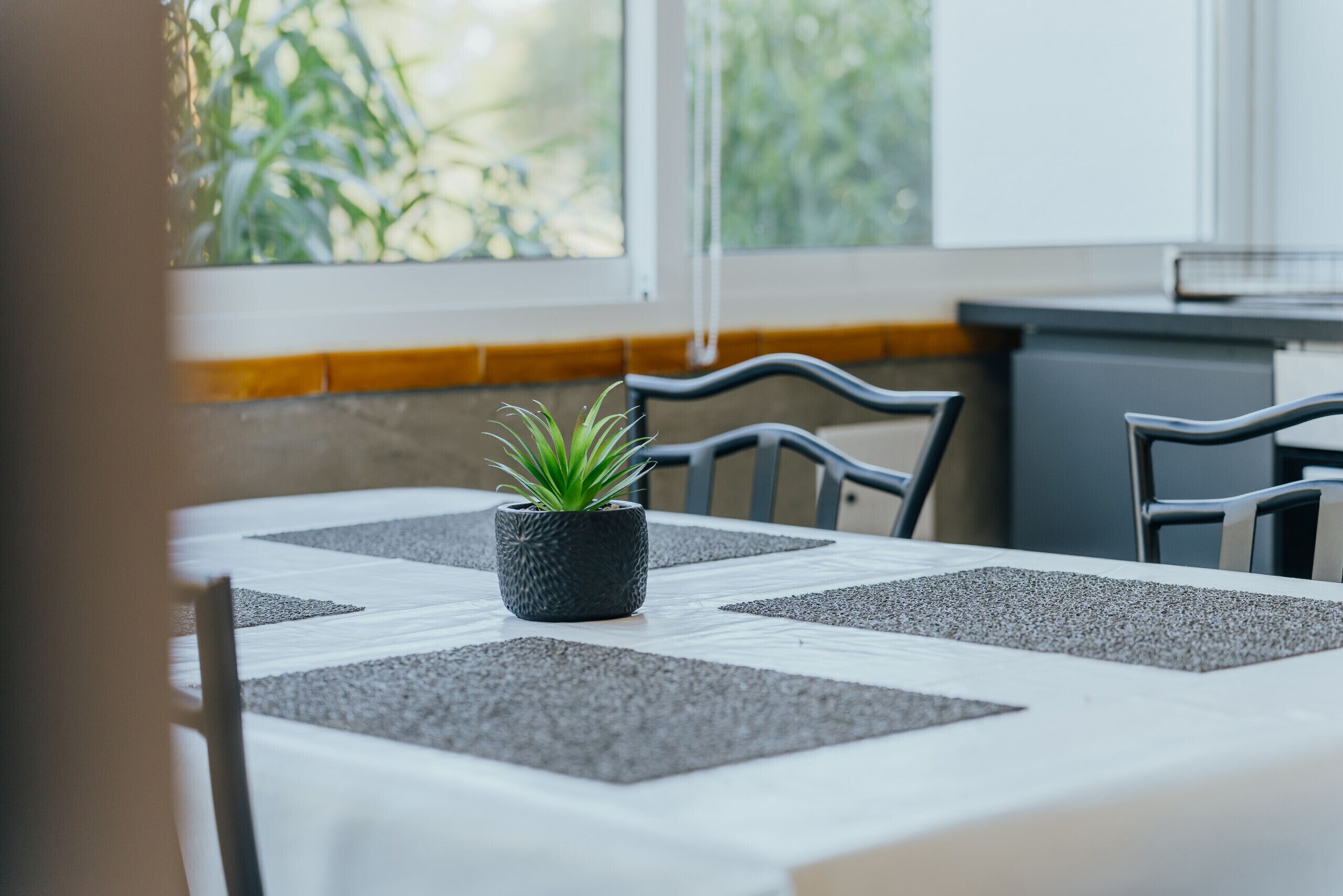 A dining table with a potted plant, grey placemats, and chairs.