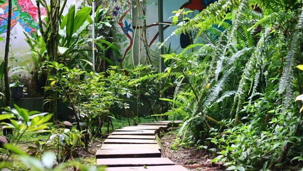 A pathway through a lush garden with various plants and a mural on the wall. - BackpackerKilla (Machu Picchu)