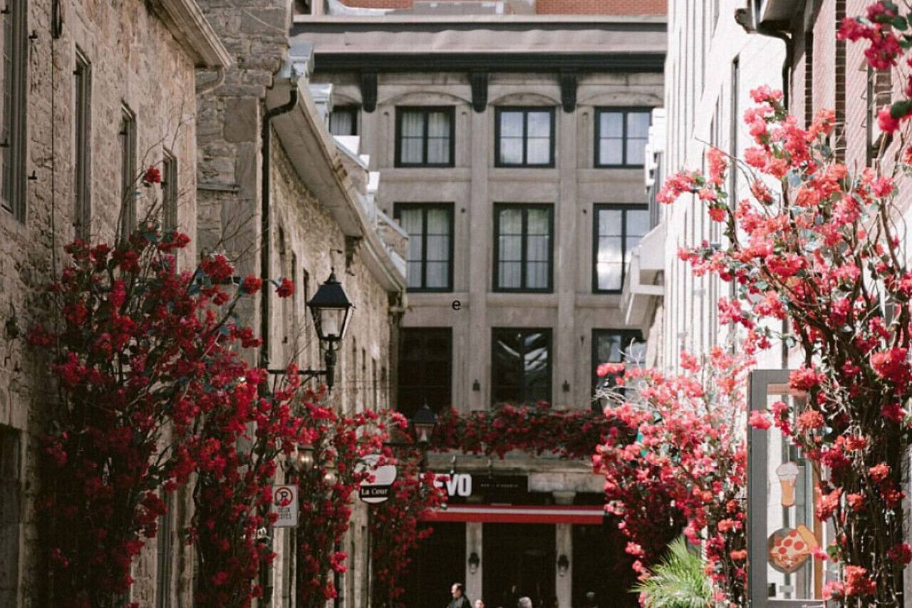 A street with red flowers, a building with a sign that says "La Cote," and a pizza sign.