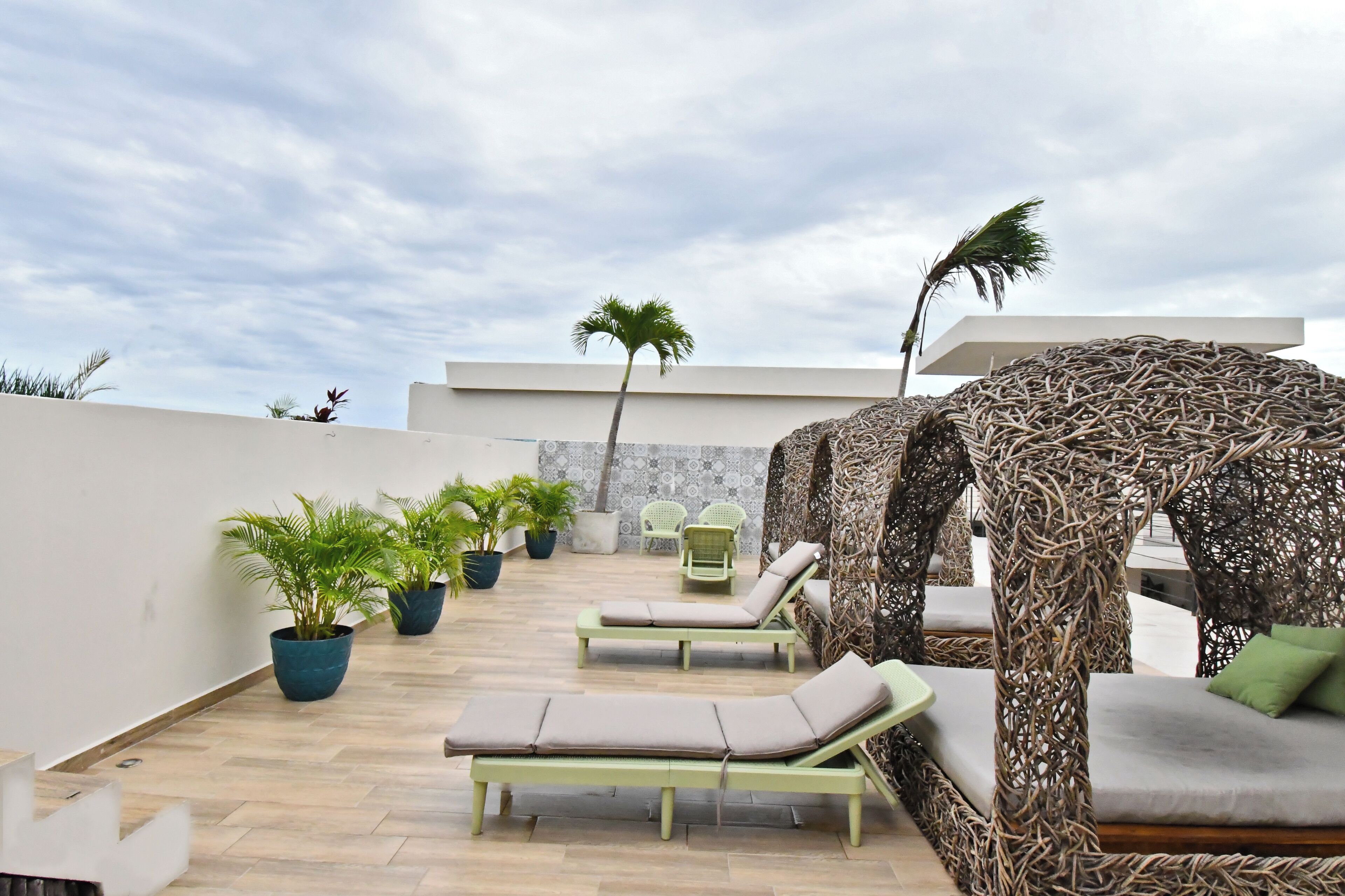 Une terrasse sur le toit aménagée avec des chaises longues, des plantes en pot et une structure décorative en osier.