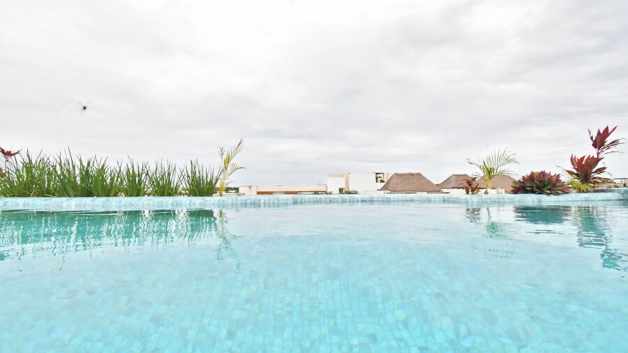 Solum Living by The Spot Rentals