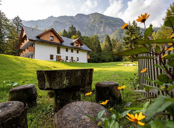 Terrain de l’hébergement 