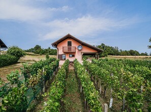 Property grounds - Harvest Horizon Holiday Home with Sauna - One Bedroom Holiday Home (Brežice)