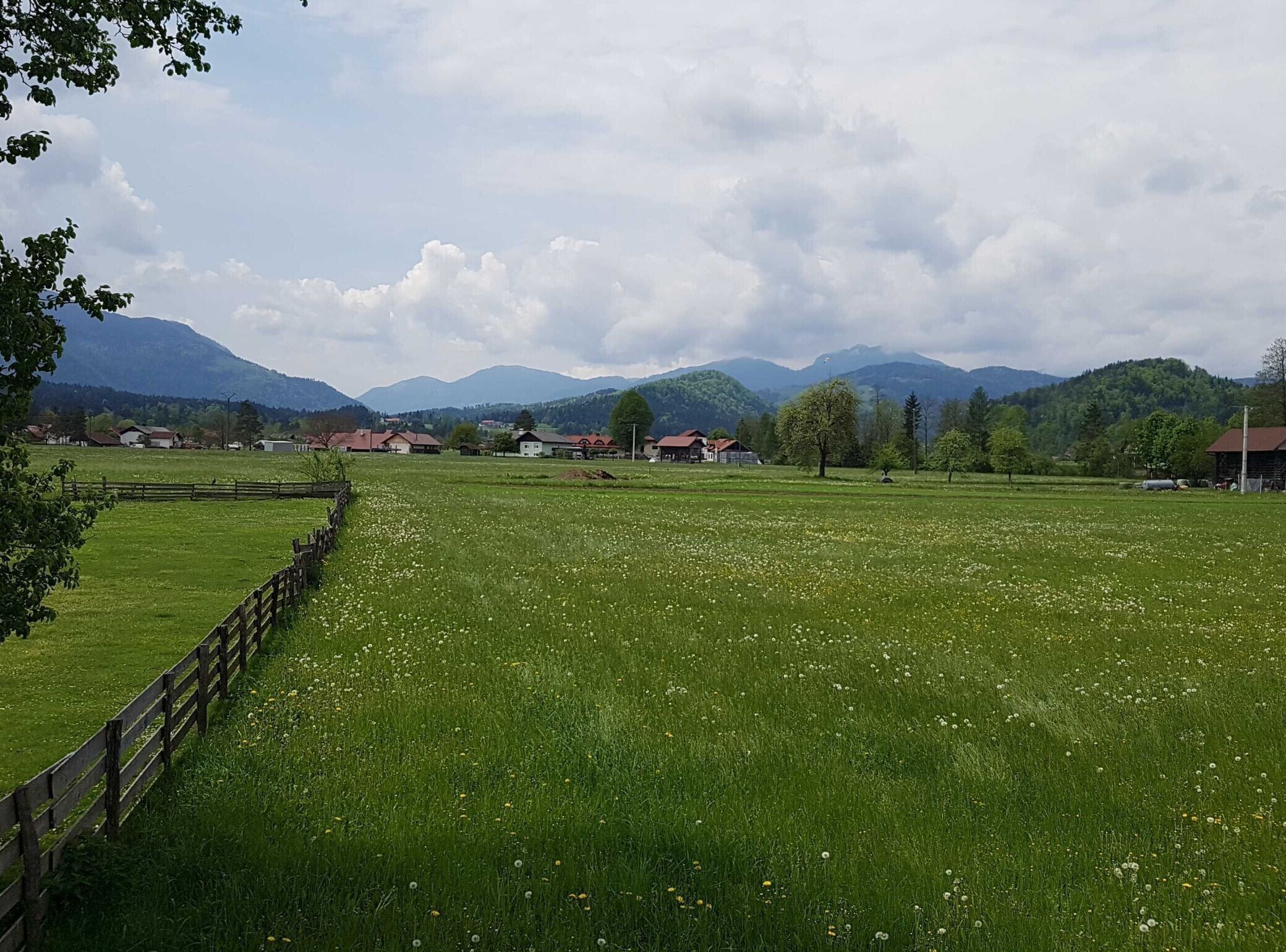 A rural landscape with a grassy field, a wooden fence, and houses in the background.