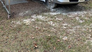 Een witte camper staat onder een overdekte ruimte met een metalen dak, omringd door bomen en gras.
