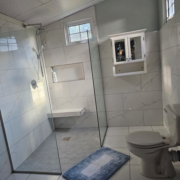 Shower, towels, soap, toilet paper