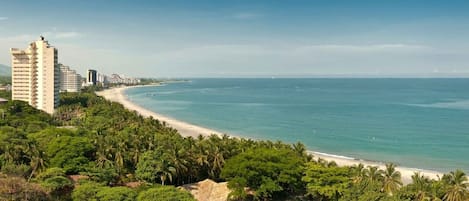 A coastal view with a beach, palm trees, and high-rise buildings in the background.