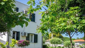 A white building with green shutters, a small garden, and a tree in the foreground. - Appartamenti Comfort (Zambrone)