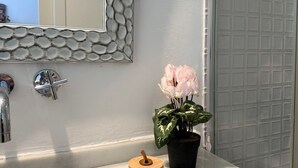Departamento, 1 habitación, con acceso para personas discapacitadas, para fumadores | Baño