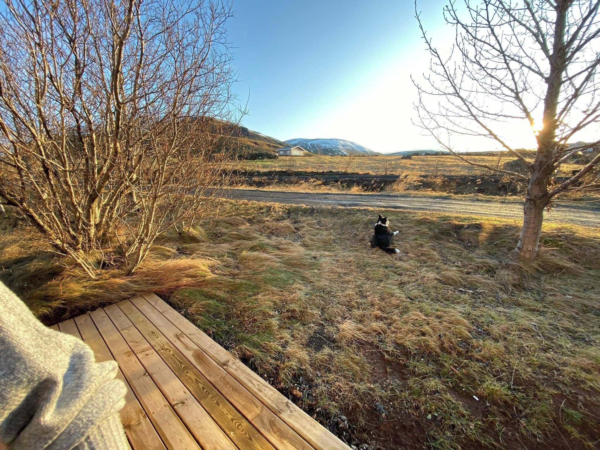 Room, 1 Bedroom, Garden View | Property grounds