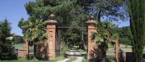 A rustic gate with brick pillars and a metal gate, leading to a path surrounded by lush greenery and tall trees.