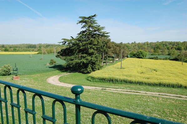 A rural landscape with a large tree, fields of yellow flowers, and a dirt path. - Fuji - Pibrac - Gîte (Pibrac)