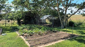 A garden with raised beds, a small greenhouse, and a fenced area. - En Pouillac - SAINT THOMAS (SAINT THOMAS)