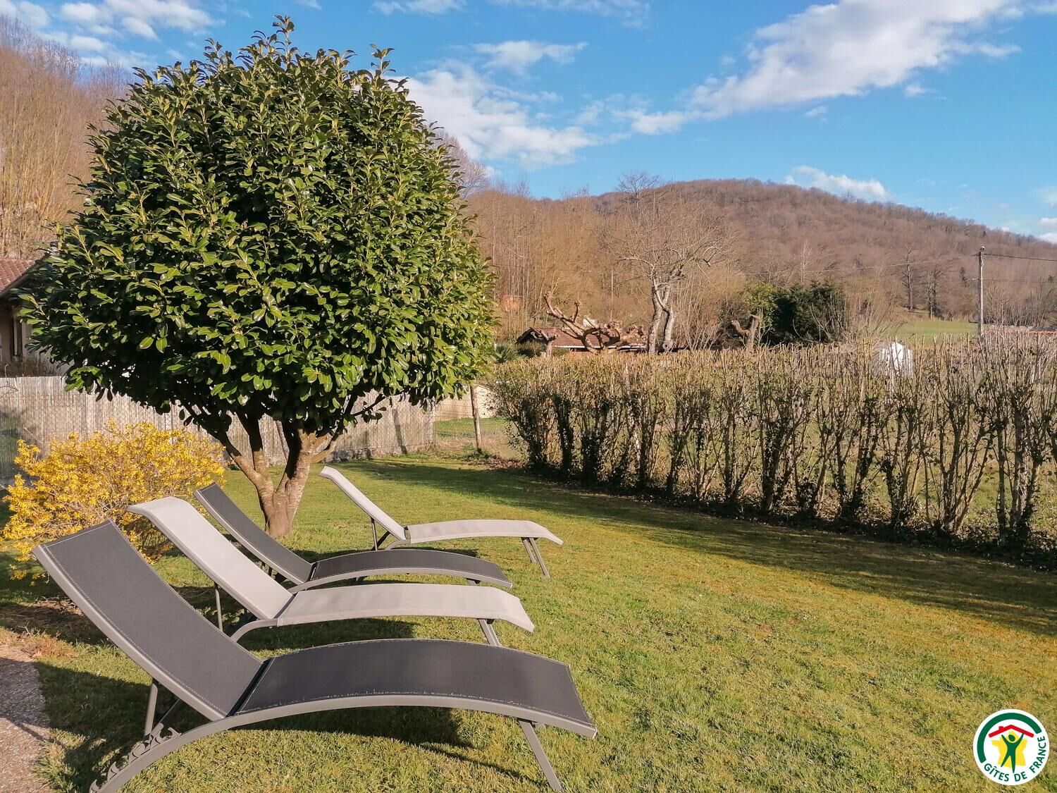 A garden with three lounge chairs, a large tree, and a hedge.