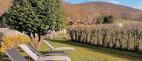 A garden with three lounge chairs, a large tree, and a hedge.
