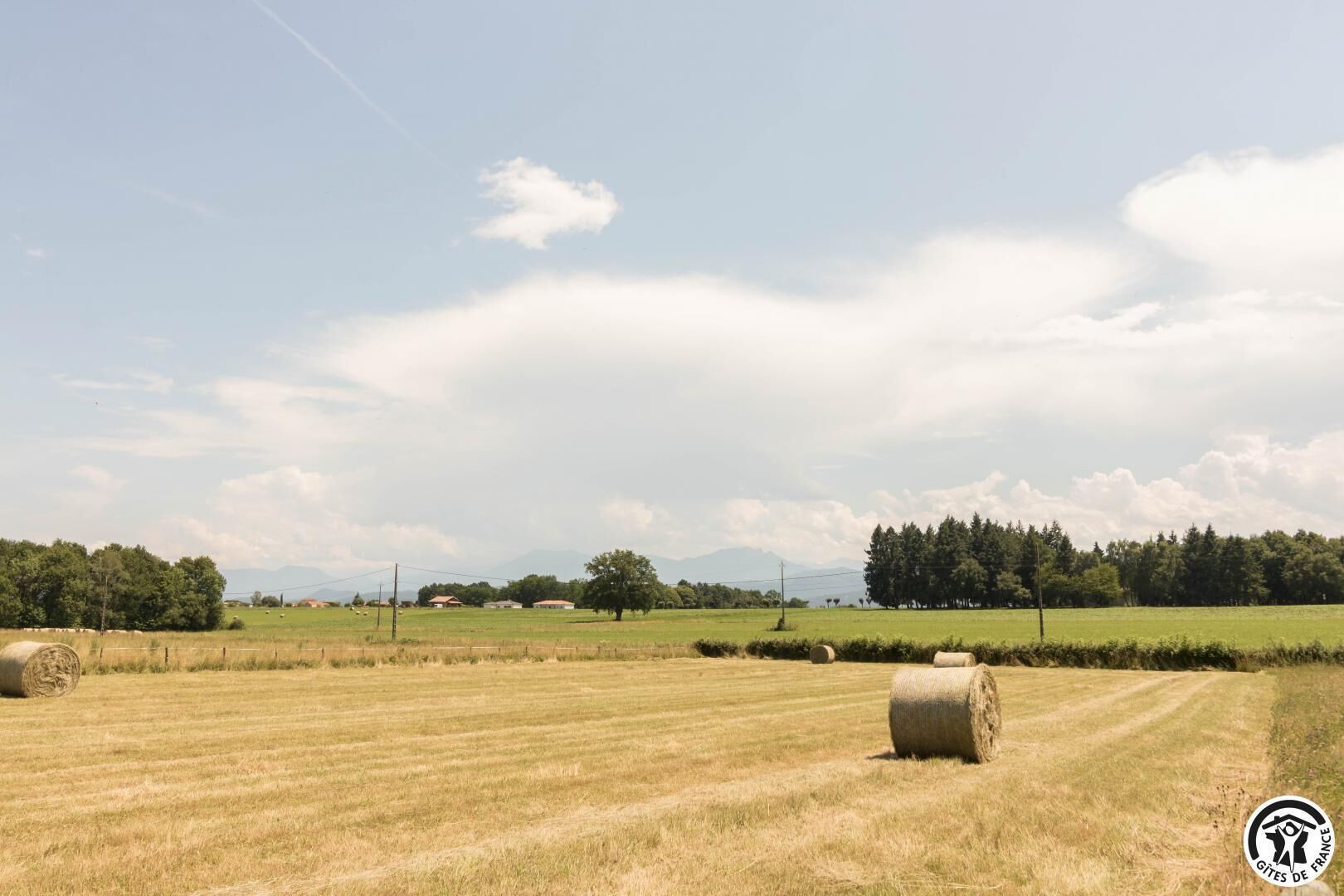Paisaje rural con pacas de heno en un campo, cielo despejado y árboles y montañas a lo lejos.