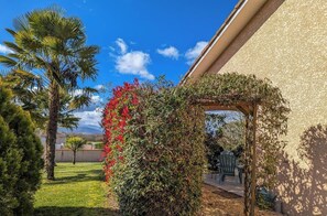 A garden with a pergola covered in climbing plants, a palm tree, and a lawn.