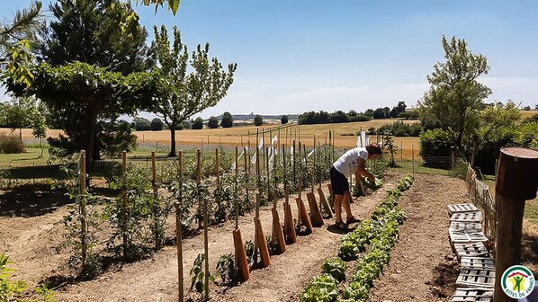 Overnattingsstedets uteområder