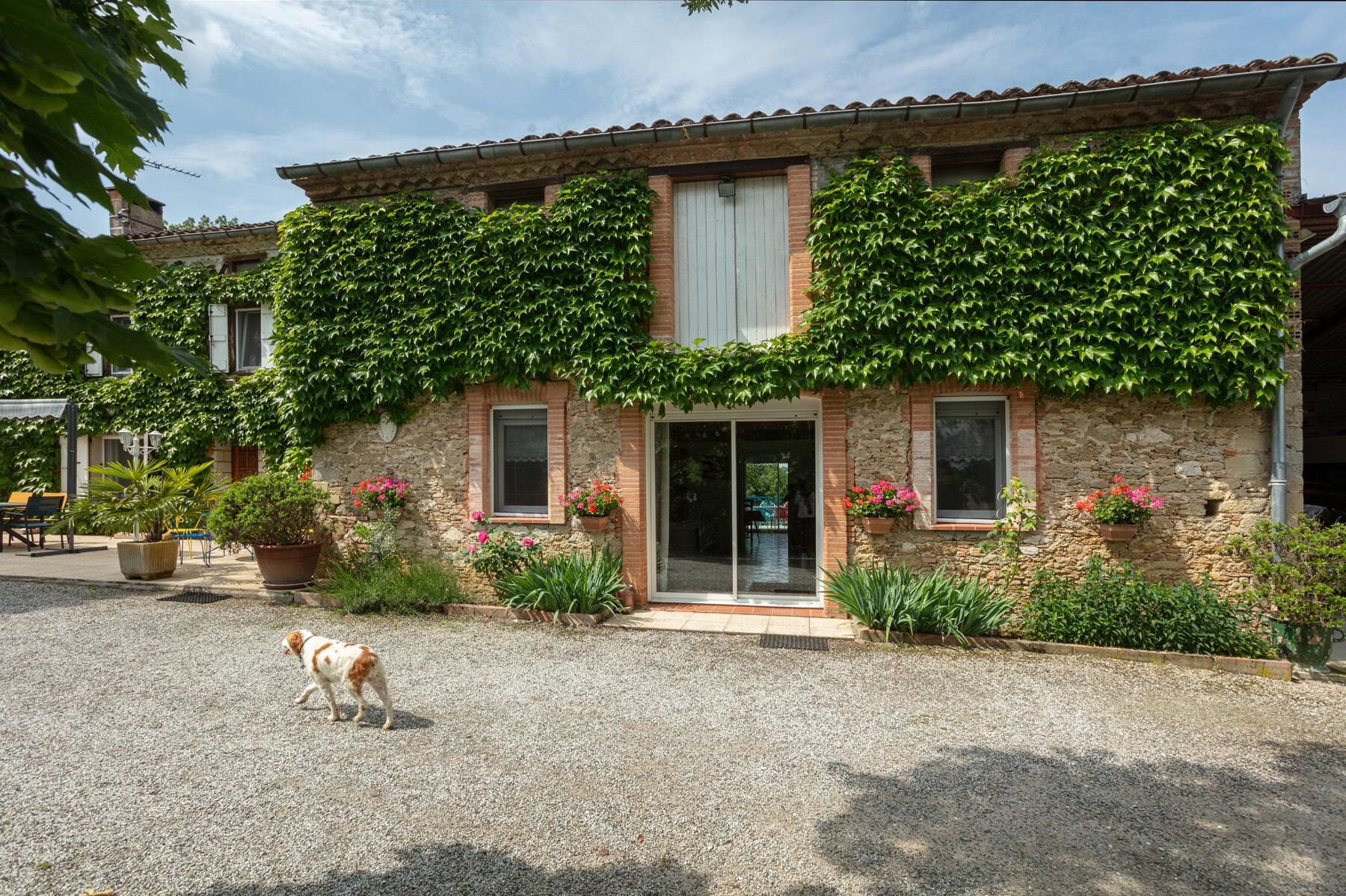 Exterior