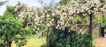 4 Star Holiday Home in Ronneby