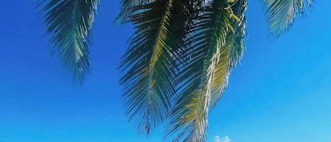 Sun loungers, beach towels