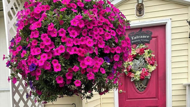 A house entrance with a red door, a sign reading "Entrance," and a hanging flower basket. - Art Nouveau Room<br>Large room decorated in the Art Nouveau style with FULL-size bed, en suite bathroom.FREE breakfast. Sleeps 2. (Maplecrest)