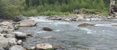 A river with clear water flowing over rocks, surrounded by dense green forest and mountains in the background.