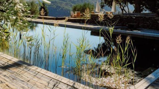 A serene outdoor pool area with a wooden deck, surrounded by lush greenery and overlooking a mountainous landscape. - Quinta Vila Rachel (Alijó)
