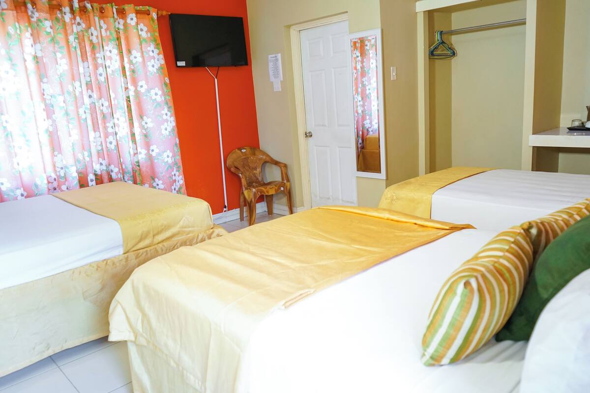 Habitación de hotel con dos camas, un televisor montado en la pared, una silla de madera y una puerta con espejo.