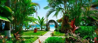 Ayurveda Resort Negril Jamaica 