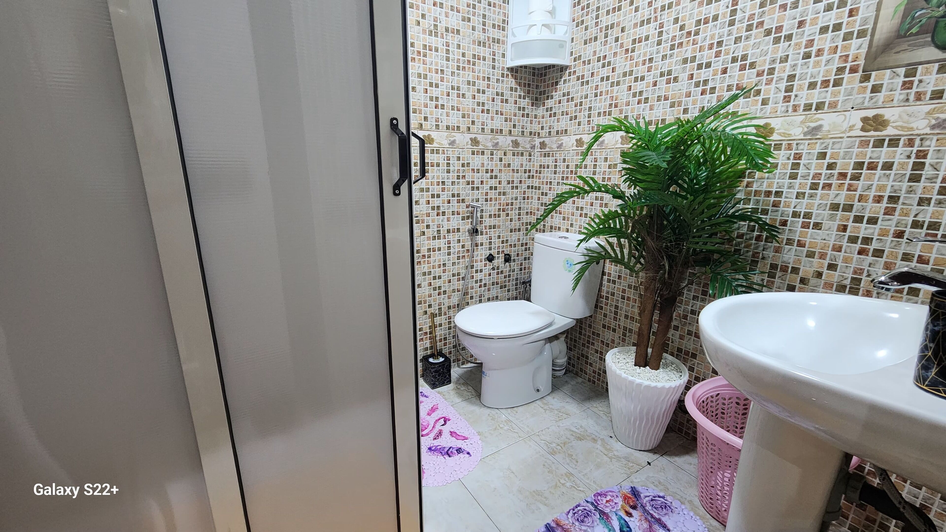 A bathroom with a toilet, sink, and shower. There is a potted plant and a trash bin.