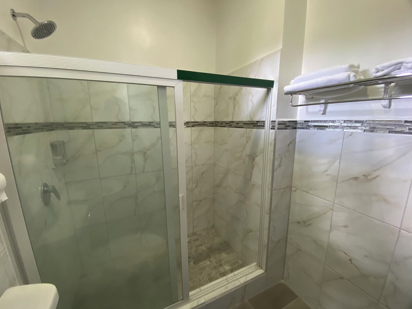 A bathroom with a glass-enclosed shower, a toilet, and a towel rack.
