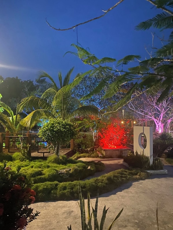 Un jardín con palmeras, un arbusto iluminado de rojo y un sendero de hormigón.