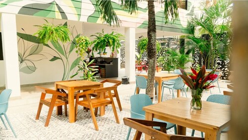 Wide Mouth Frog Hotel