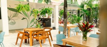 Wide Mouth Frog Hotel