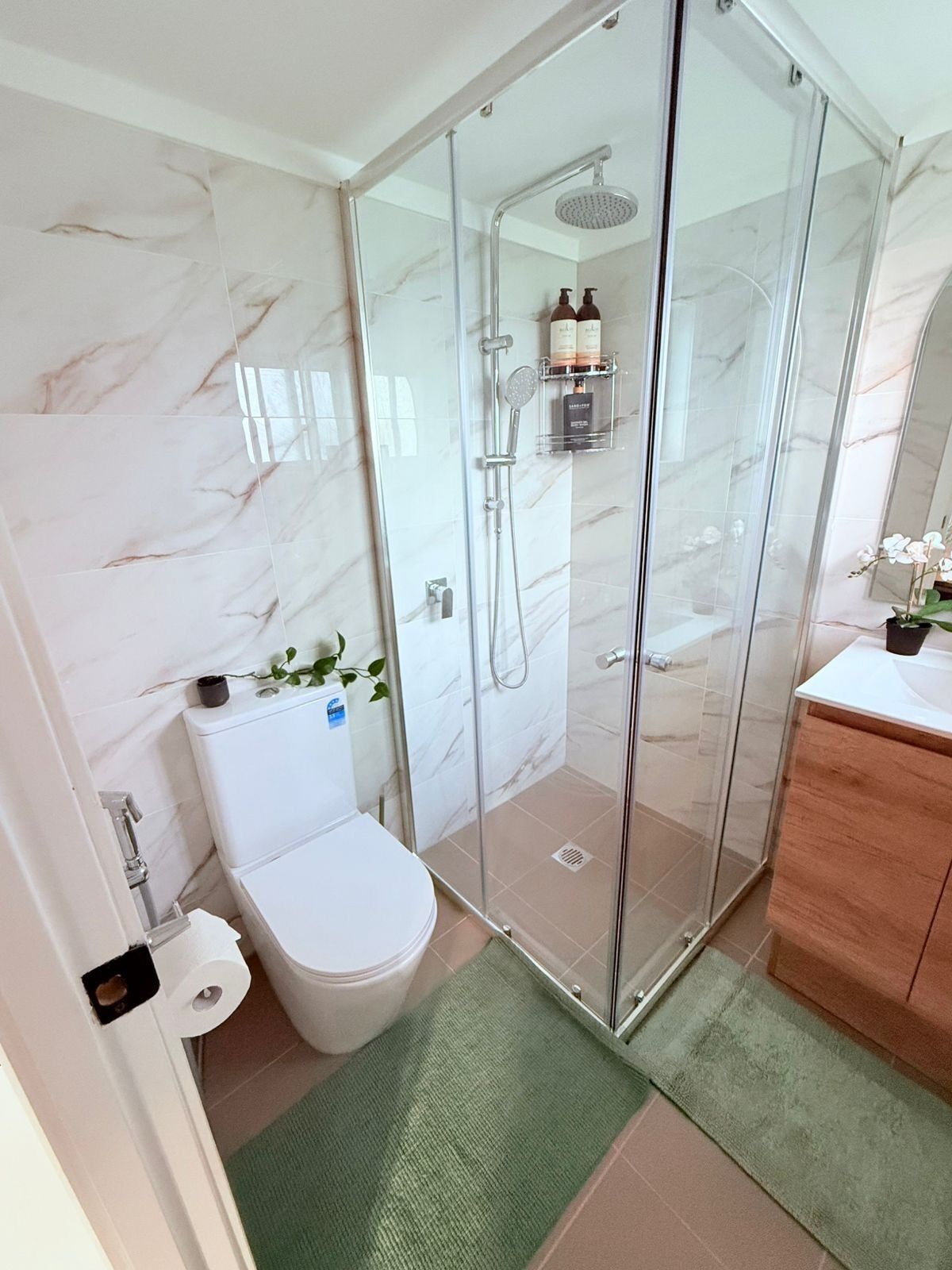 Shower, hair dryer, bidet, towels