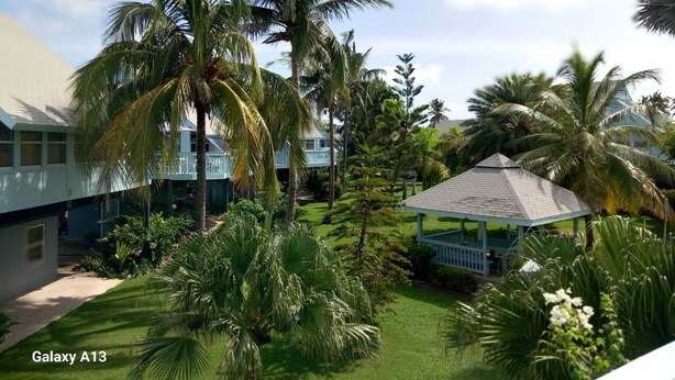 A lush garden with palm trees, a gazebo, and a building with a blue roof. - Charming Standalone 3-bedroom villa with AC and WiFi in lovely Frigate Bay (Frigate Bay)
