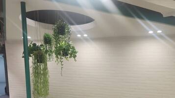 A seating area with a curved bench and potted plants.