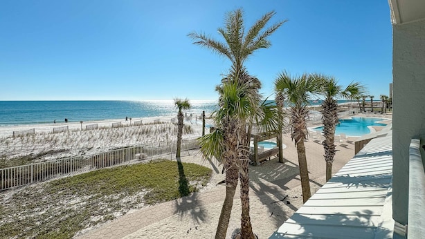 A beach view with palm trees, a pool, and a fenced area.
