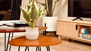 Een woonkamer met een houten salontafel, een kamerplant, een boekenkast en een flatscreen televisie.